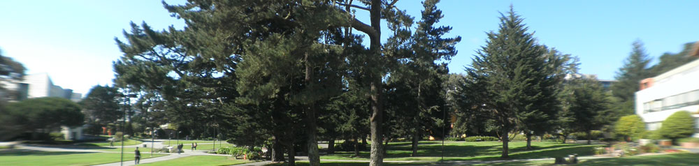 San Francisco State Campus